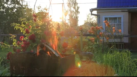 Barbecue in late evening Stock Footage 7907010