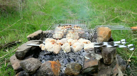 Barbecue on a makeshift grill Video stock 25431574