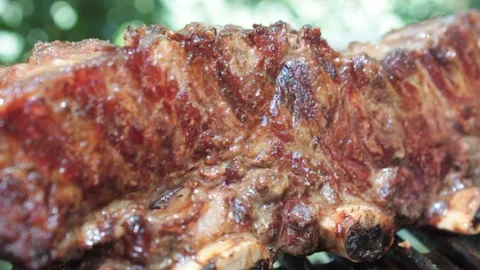 Barbecue meat 04 Video stock 78016237