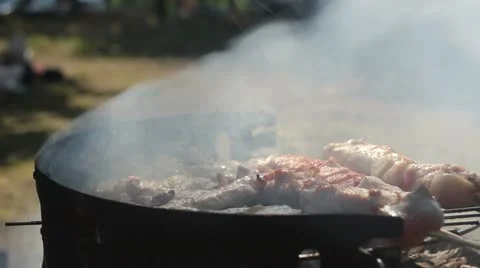 Barbecue (meat _2) Stock Footage 11520140