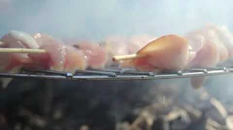 Barbecue (meat ) Video stock 11520248