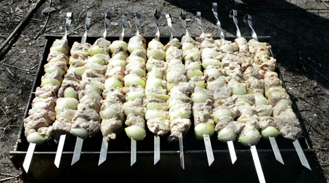 Barbecue on mongale 動画素材 49195716