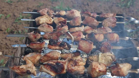 Barbecue in nature Stock Footage