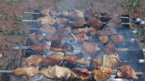 Barbecue in nature Video stock 67507607