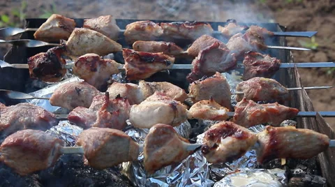 Barbecue in nature Video stock 67507623