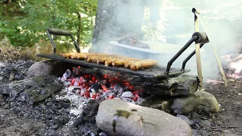 Barbecue in nature Stock Footage 77904751