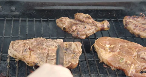 Barbecue on a outdoor grill Stock Footage 131423152
