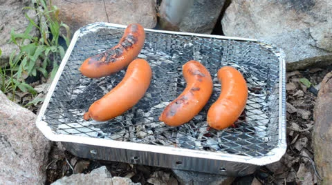 Barbecue outdoors Stock Footage 24370384