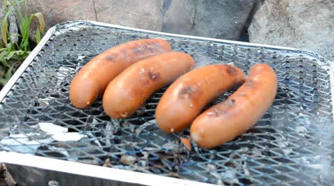 Barbecue outdoors Stock Footage 24372496