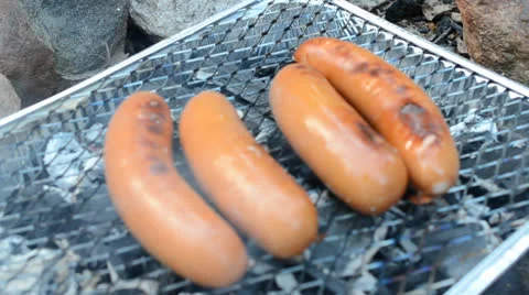 Barbecue outdoors Stock Footage 24373357