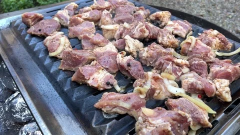 Barbecue outside on the grill Video stock 230630119