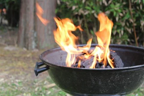 Barbecue Stock Photos