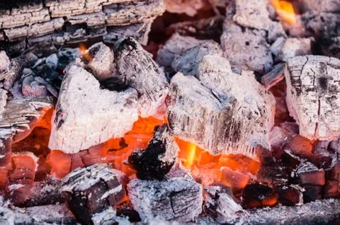 Barbecue Stock Photos