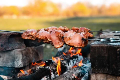 Barbecue Stock Photos