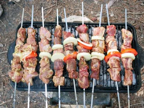 Barbecue for a picnic Stock Photos