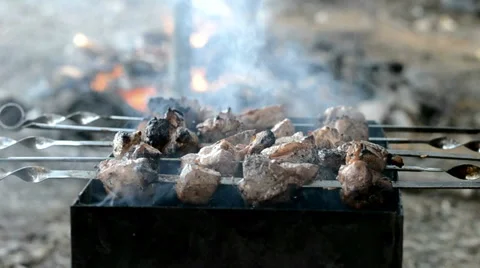 Barbecue roasted on the grill Stock Footage 48782071
