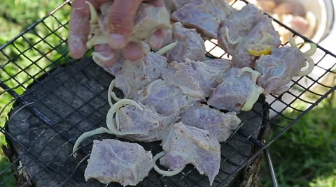 Barbecue for roasting in nature Stock Footage 50113145