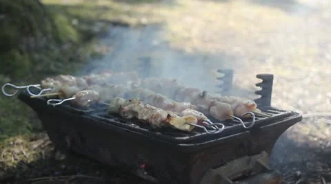 Barbecue small grill _1 Video stock 11520610