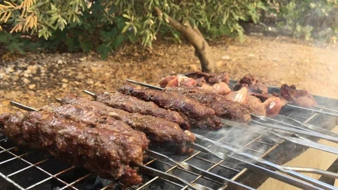 Barbecue time Stock Footage 119200029