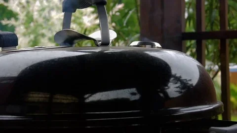 Barbecue timelapse Stockbeeldmateriaal 76530599