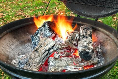 Barbecue woods Foto stock