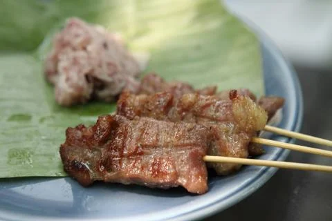 Barbecued pork Stock Photos