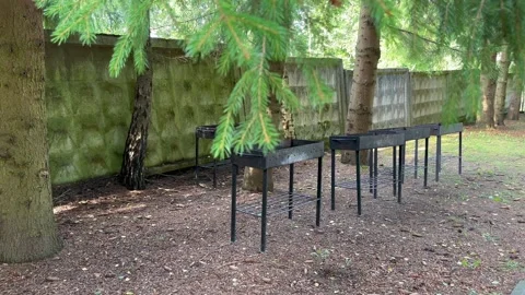 Barbecues in nature for BBQ Stock Footage 249287286