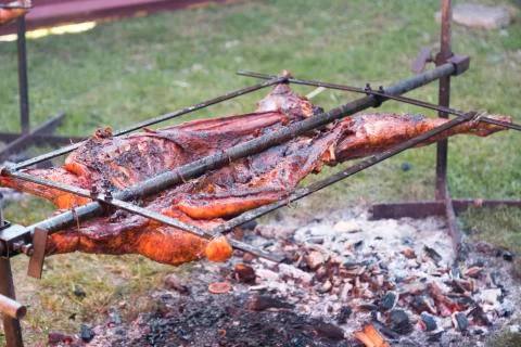 Barbecuing Entire Lamb Stock Photos