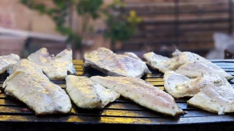 Barbecuing fish in the open air 動画素材 151226238
