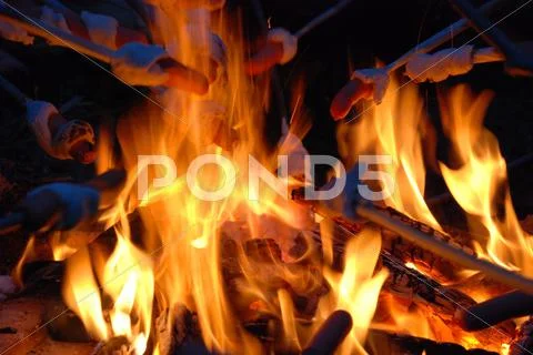 Barbecuing sausages at campfire Stock Photos