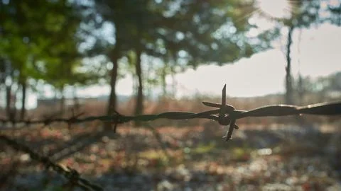 The Barbed Boarder Stock Photos