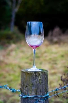 Barbed drink Stock Photos