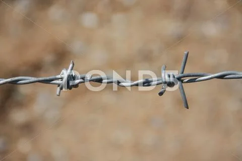 Barbed fence with ground Stock Photos