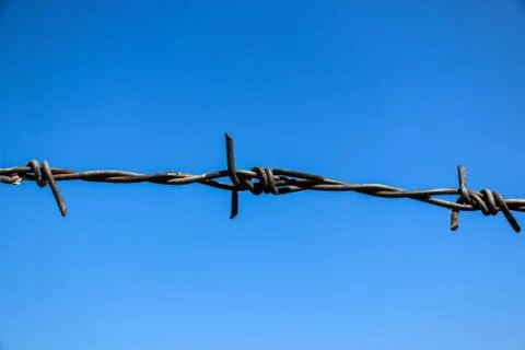 Barbed Stock Photos