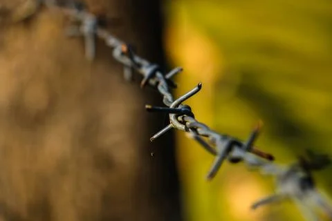 Barbed Stock Photos