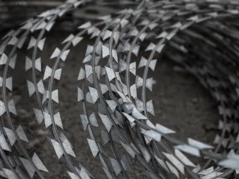 Barbed, razor wire - some coils of barbed wire razor fence Stock Photos