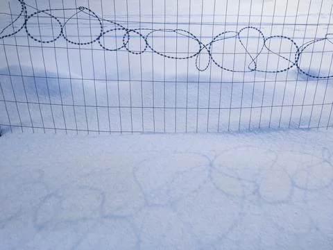 Barbed, razor wire - some coils of barbed wire razor fence, its shadow on snow Stock Photos