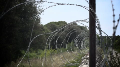 Barbed/ Razor wire on wall Stock Footage 40100881