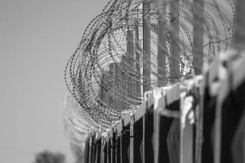Barbed tape Stock Photos