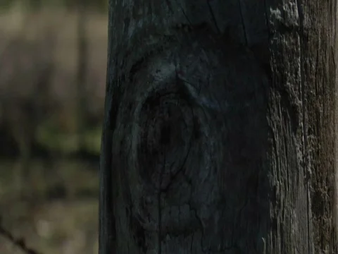 Barbed Wire 02 Stock Footage 357077