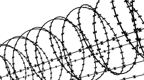 Barbed wire, 3d animation Stock Footage 50388288