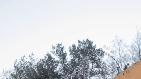 Barbed wire above graffiti colored concrete wall closeup Stock-Footage 129240410