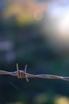 Barbed wire on an abstract background Stock Photos