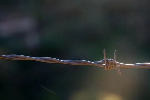 Barbed wire on an abstract background Foto stock