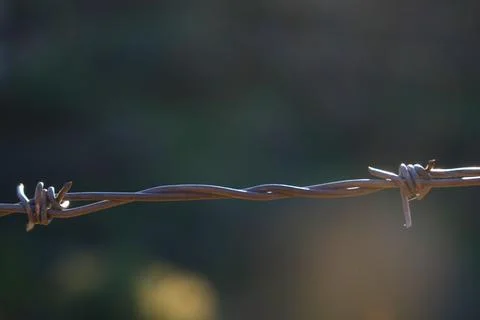 Barbed wire on an abstract background Foto stock