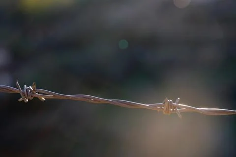 Barbed wire on an abstract background Stock Photos