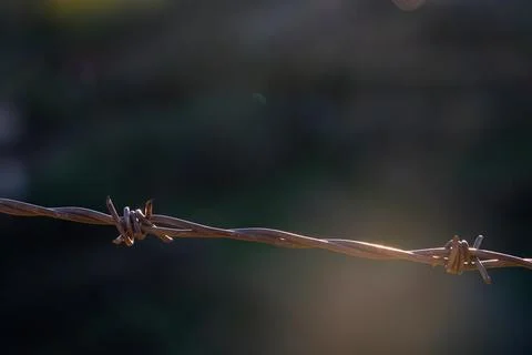 Barbed wire on an abstract background Stock Photos