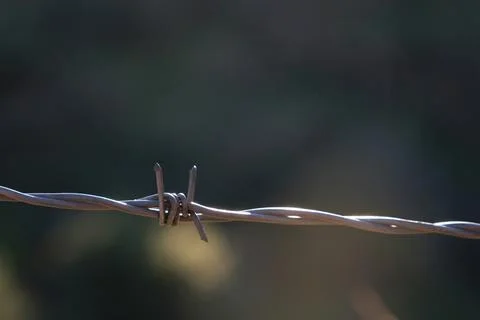 Barbed wire on an abstract background Stock Photos