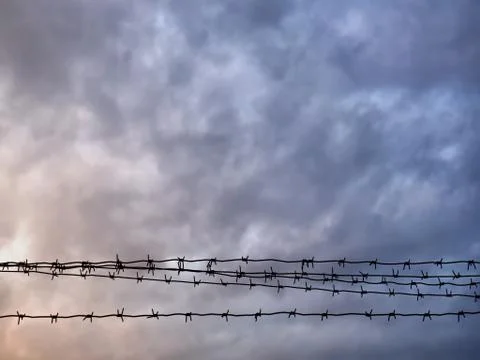 Barbed wire against the background of austere sky. Silence. Stock Photos