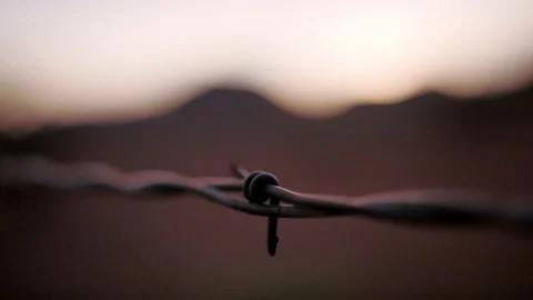 Barbed wire against beautiful sunset and mountains in the desert Stock Footage 154912059